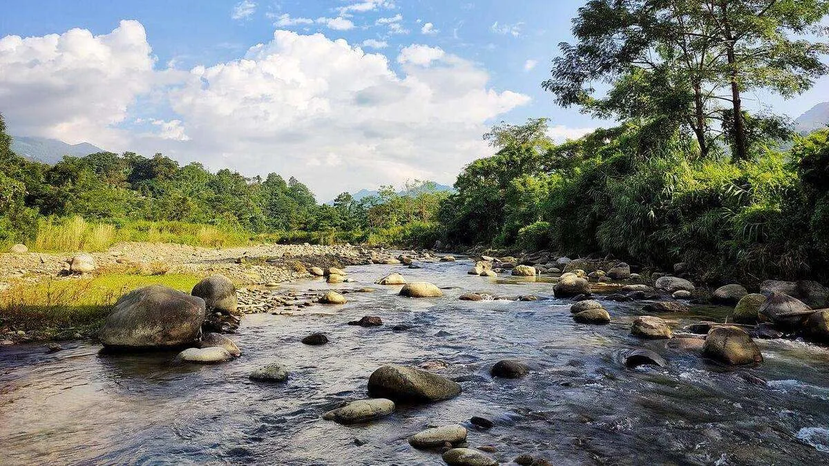 Rocky stream habitat in the Barak River drainage of northeastern India